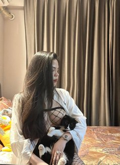 Lili - escort in Abu Dhabi Photo 4 of 4