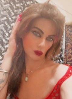 Lili - Acompañantes transexual in Beirut Photo 4 of 8