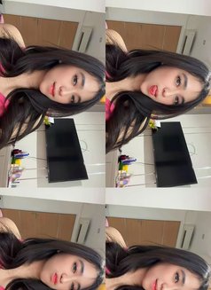 Lili Ready Kuala lumpur Escort - escort in Kuala Lumpur Photo 3 of 15