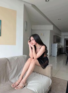 Lili Ready Kuala lumpur Escort - escort in Kuala Lumpur Photo 14 of 15