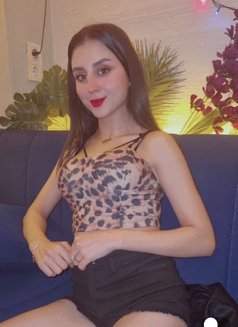 Lili Vip - puta in İstanbul Photo 3 of 6