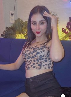 Lili Vip - puta in İstanbul Photo 4 of 6