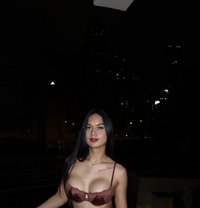 Lilieyen - Transsexual escort in Bangkok