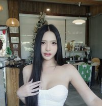 Lilin - Transsexual escort in Chiang Mai