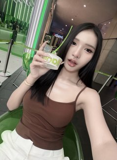 Lilin - Acompañantes transexual in Chiang Mai Photo 7 of 10