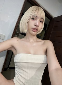 Lilin - Acompañantes transexual in Chiang Mai Photo 3 of 13