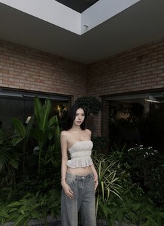 Lilin - Acompañantes transexual in Chiang Mai Photo 12 of 13