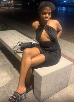 Lilkittie🥵 - escort in Dubai Photo 3 of 3