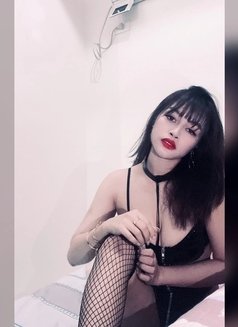 Lilly - escort in Manila Photo 1 of 1