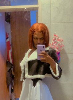 Lilly - Transsexual escort in Nairobi Photo 1 of 8