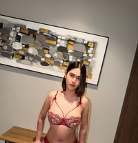 Lilly New Ladyboy Big Cock - Transsexual escort in Jeddah