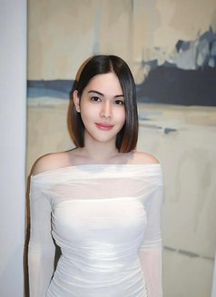 Lilly New Ladyboy Big Cock - Transsexual escort in Jeddah Photo 5 of 7