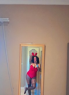 Lilly - escort in Johannesburg Photo 5 of 5