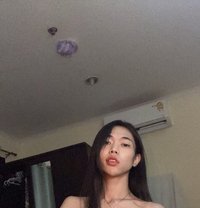 Lilly - Transsexual escort in Bangkok