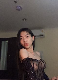 Lilly - Transsexual escort in Bangkok Photo 3 of 4