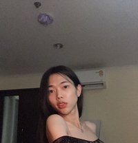 Lilly - Transsexual escort in Bangkok