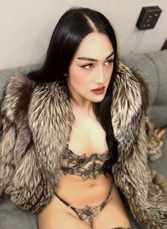 Lilly professional relax massage - Acompañantes transexual in Riyadh Photo 6 of 12