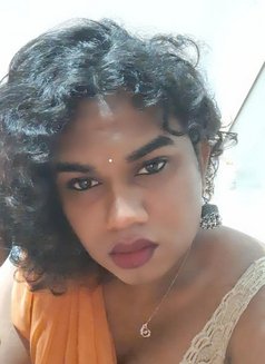 Lilly Top mistress shemale in Bangalore - Transsexual escort in Bangalore Photo 13 of 25
