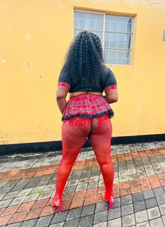 Lilly - escort in Lusaka Photo 3 of 4