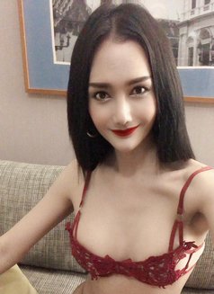 Lilly1512 - Transsexual escort in Bangkok Photo 4 of 15