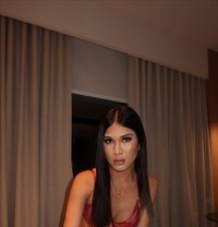 Lillycumshot - Acompañantes transexual in Cebu City