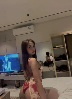 Lilppj New Lady Doha 22old - escort in Doha Photo 3 of 6