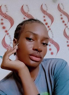 Lilthottie - Transsexual escort in Nairobi Photo 1 of 3