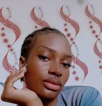 Lilthottie - Transsexual escort in Nairobi