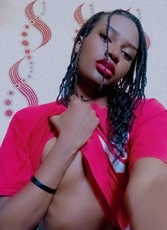 Lilthottie - Transsexual escort in Nairobi Photo 7 of 7