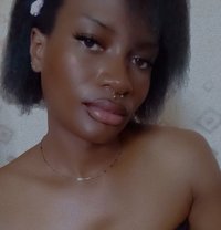 Lilthottie - Transsexual escort in Nairobi