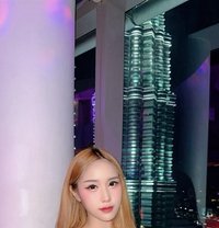 Lily Bloosom - Acompañantes transexual in Jakarta