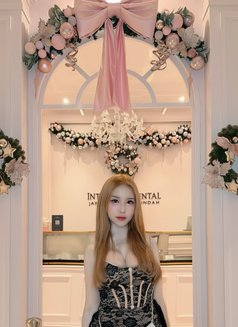 Lily Bloosom - Acompañantes transexual in Kuala Lumpur Photo 15 of 30