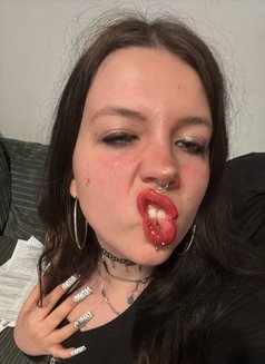 Lily - escort in Kuwait Photo 1 of 3