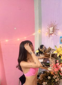 Lily is here text now - Transsexual escort in Guwahati Photo 1 of 5