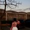 Lily in Kilimani - escort in Nairobi Photo 2 of 3