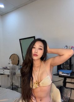 Lily Independent 🦋 - puta in Dubai Photo 7 of 12