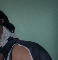 Lily ❣️🥵 - Intérprete transexual de adultos in Nairobi