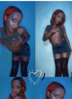 Lily ❣️🥵 - Intérprete transexual de adultos in Nairobi Photo 4 of 12