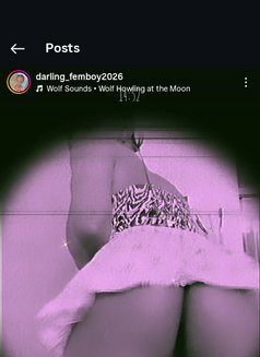 Lily ❣️🥵 - Transsexual adult performer in Nairobi Photo 4 of 6