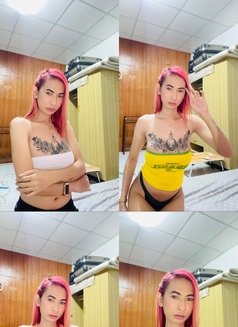 Lily Ladyboy - Transsexual escort in Bangkok Photo 5 of 7