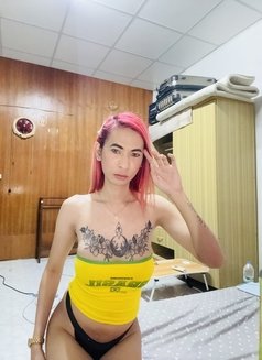 Lily Ladyboy - Transsexual escort in Bangkok Photo 6 of 7