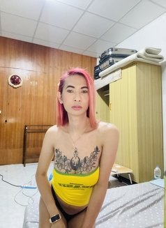 Lily Ladyboy - Transsexual escort in Bangkok Photo 7 of 7