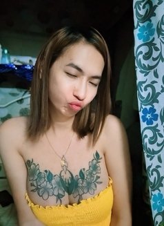 Lily Ladyboy - Acompañantes transexual in Bangkok Photo 1 of 8