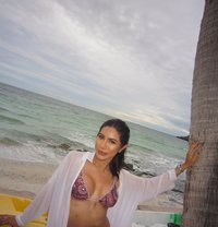 Lily Ladyboy - Transsexual escort in Muscat