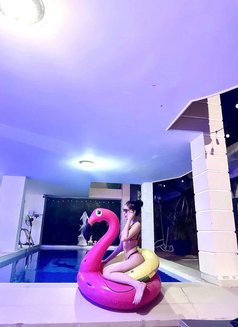 Lily Lovely - escort in Ho Chi Minh City Photo 4 of 11