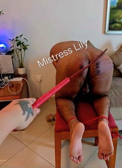 Lily-Mistress of wild dreams is back - dominatrix in Dubai Photo 25 of 28