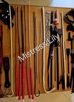 Lily-Mistress of wild dreams is back - dominatrix in Dubai Photo 28 of 28