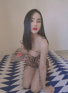 Lily New Ladyboy - escort in Al Sohar Photo 4 of 12