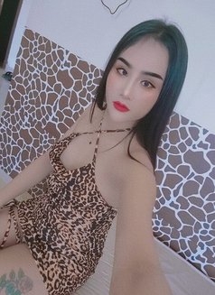 Lily New Ladyboy - escort in Al Sohar Photo 5 of 12