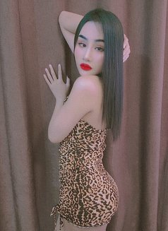 Lily New Ladyboy - puta in Al Sohar Photo 11 of 15